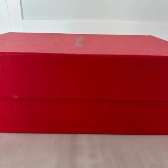 Salvatore Ferragamo Tall Shopping Bag Shoebox and 2 New Dust Bags PRICED TO SELL - Picture 9 of 15